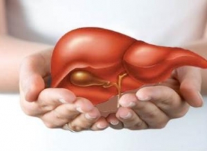 Men gan cao là gì? Cách phòng và điều trị men gan cao